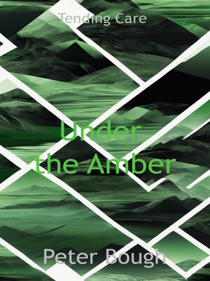 cover image of Under the Amber